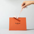 GIFT BOX HOLIDAY